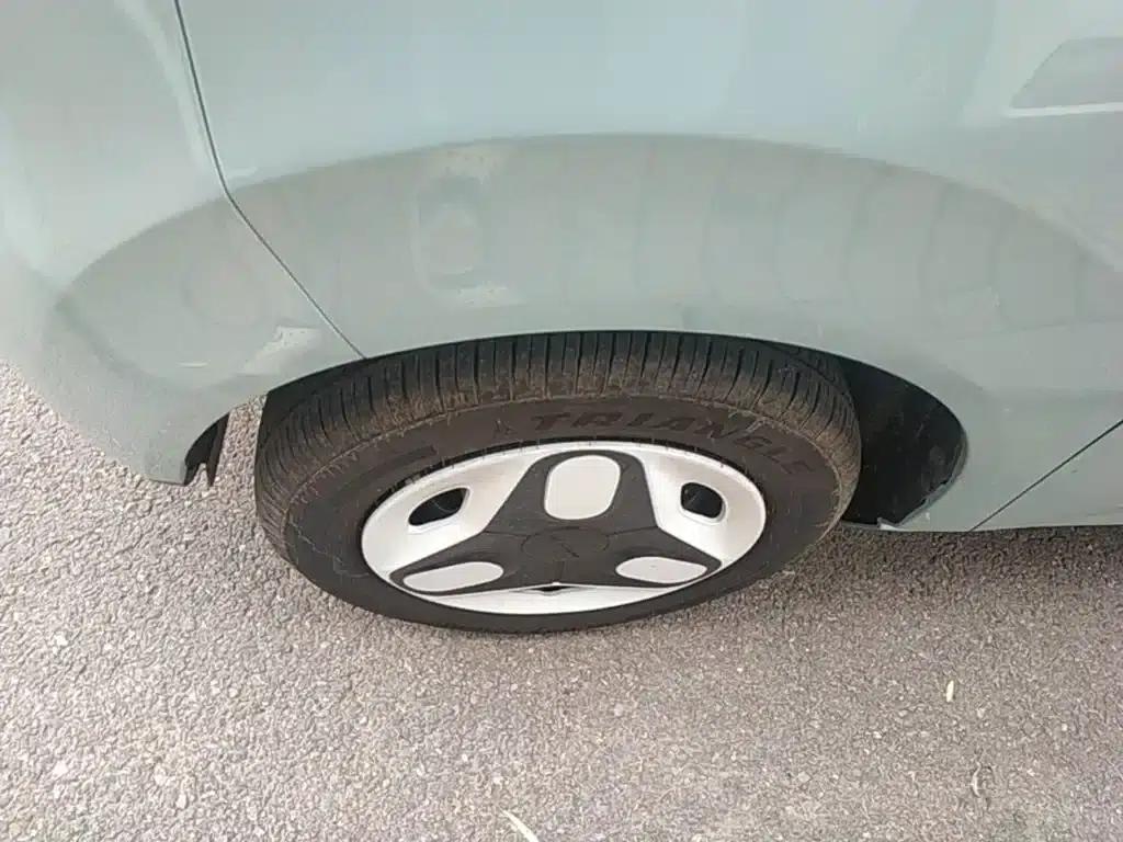 Panda 2025 Panda Mini 210km - Energetic Bear — миниатюра 23