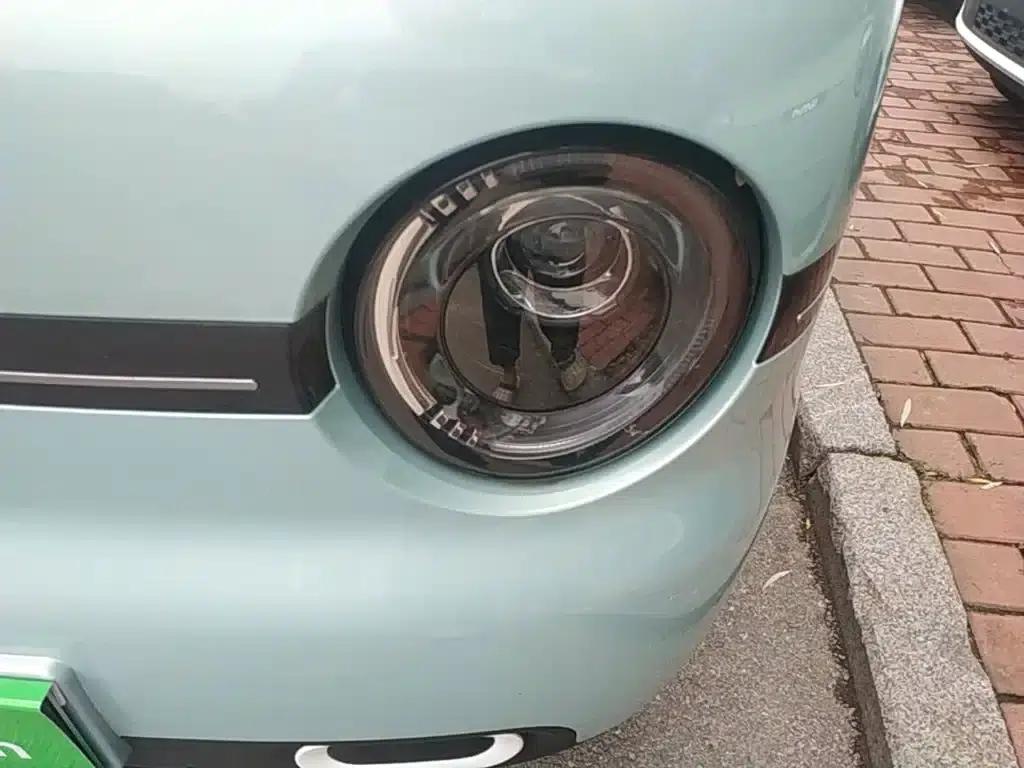 Panda 2025 Panda Mini 210km - Energetic Bear — миниатюра 24