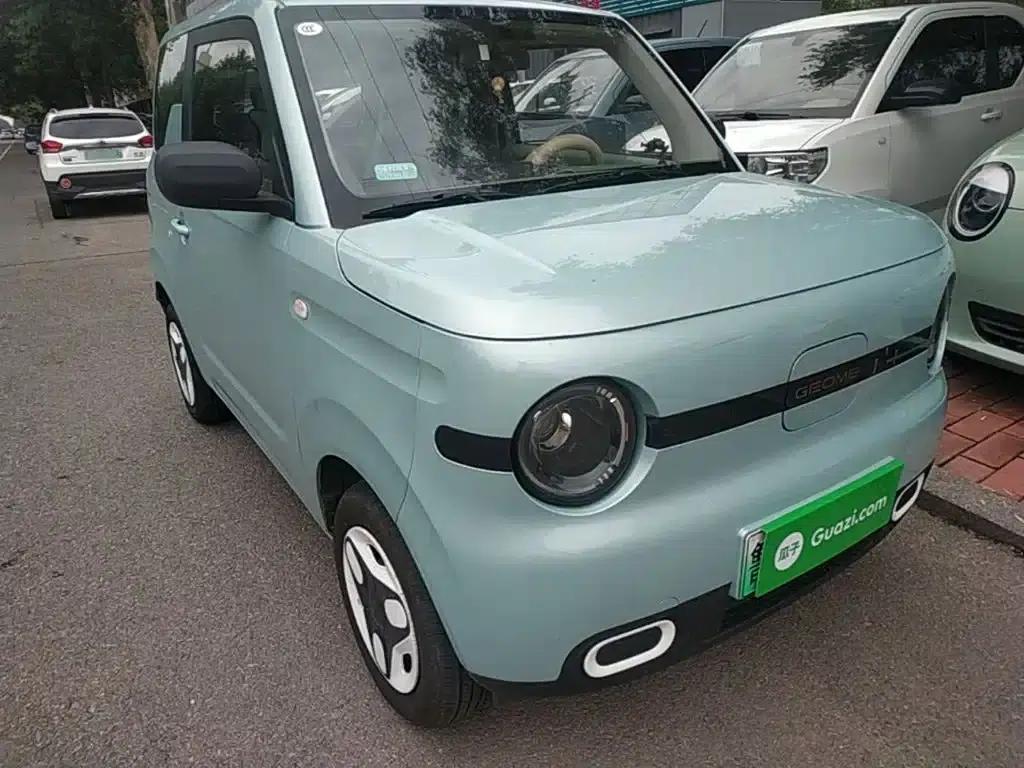 Panda 2025 Panda Mini 210km - Energetic Bear — миниатюра 4