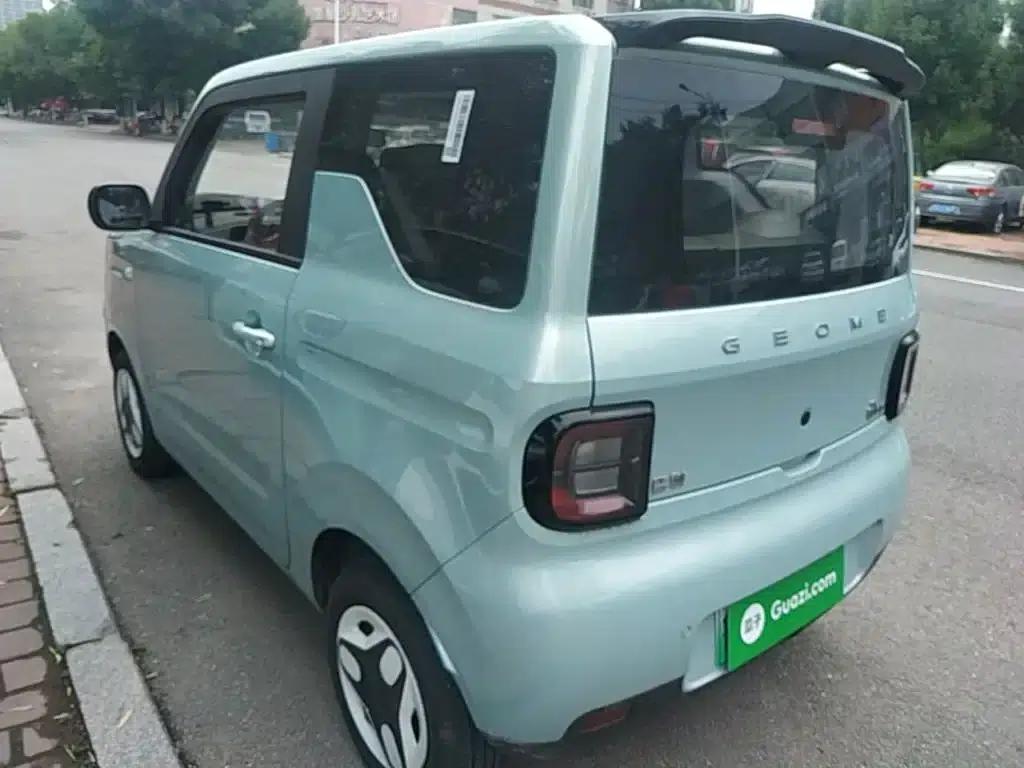 Panda 2025 Panda Mini 210km - Energetic Bear — миниатюра 5