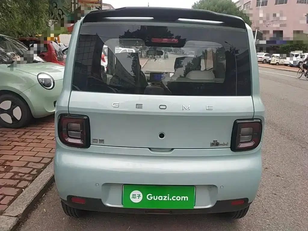 Panda 2025 Panda Mini 210km - Energetic Bear — миниатюра 6