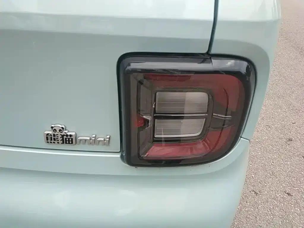 Panda 2025 Panda Mini 210km - Energetic Bear — миниатюра 8