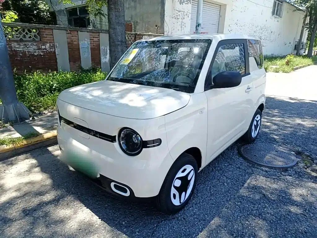 Panda 2025 Panda Mini 210km - Energetic Bear — миниатюра 2