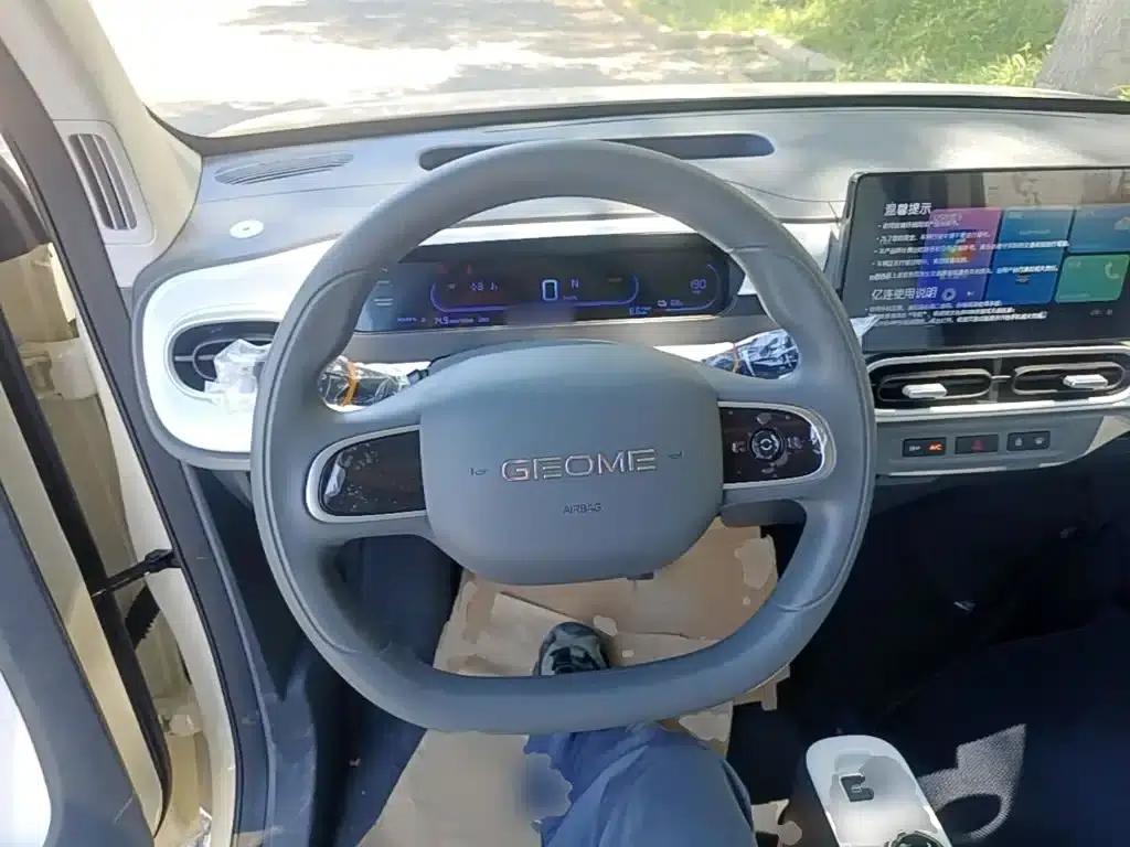 Panda 2025 Panda Mini 210km - Energetic Bear — миниатюра 11
