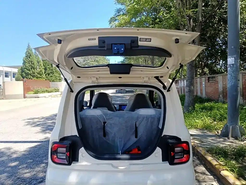Panda 2025 Panda Mini 210km - Energetic Bear — миниатюра 19