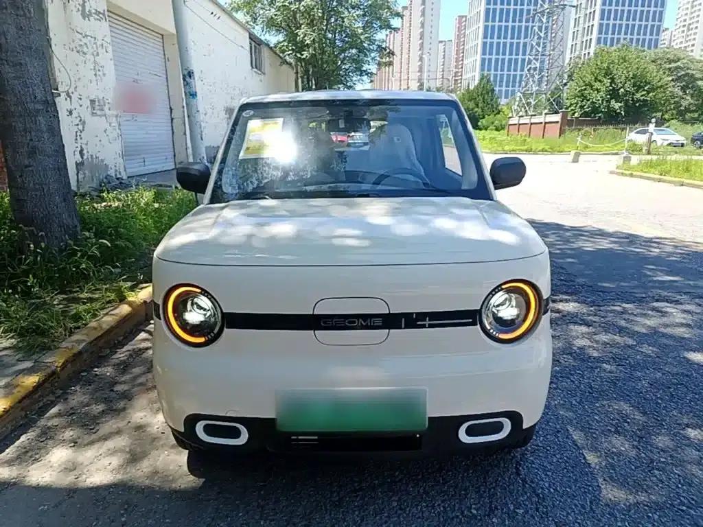 Panda 2025 Panda Mini 210km - Energetic Bear — миниатюра 3