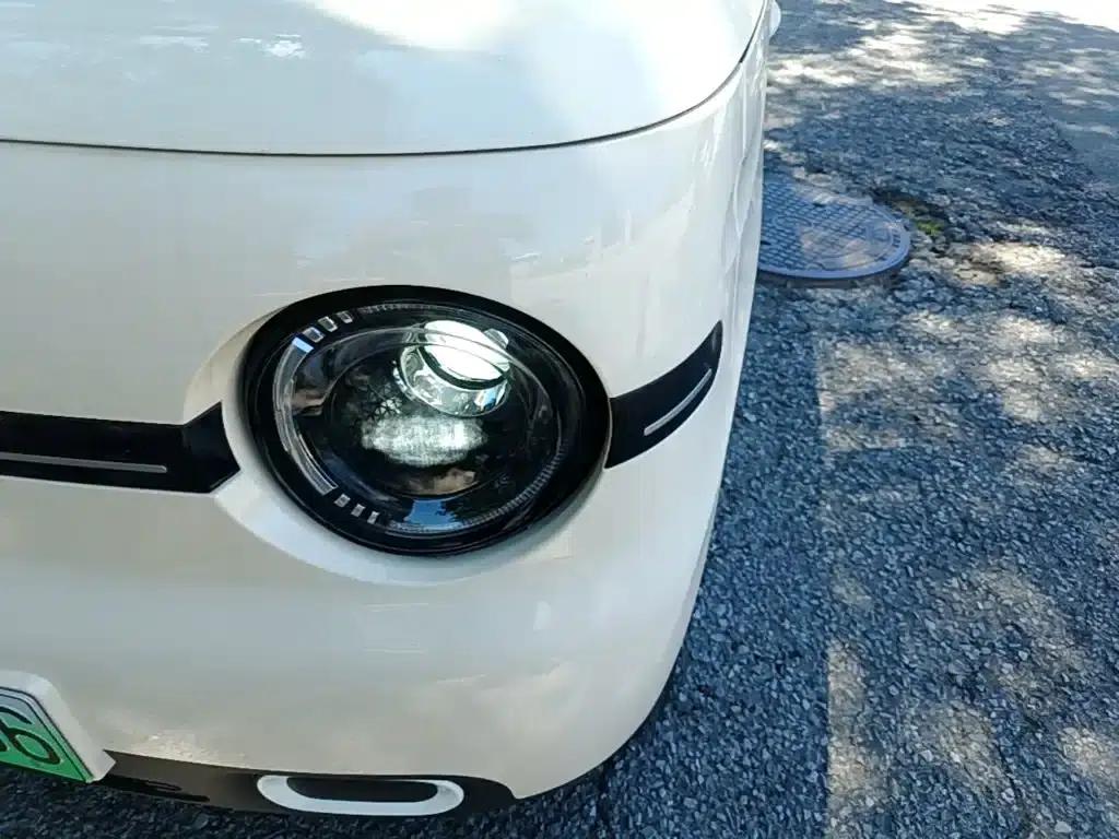 Panda 2025 Panda Mini 210km - Energetic Bear — миниатюра 24