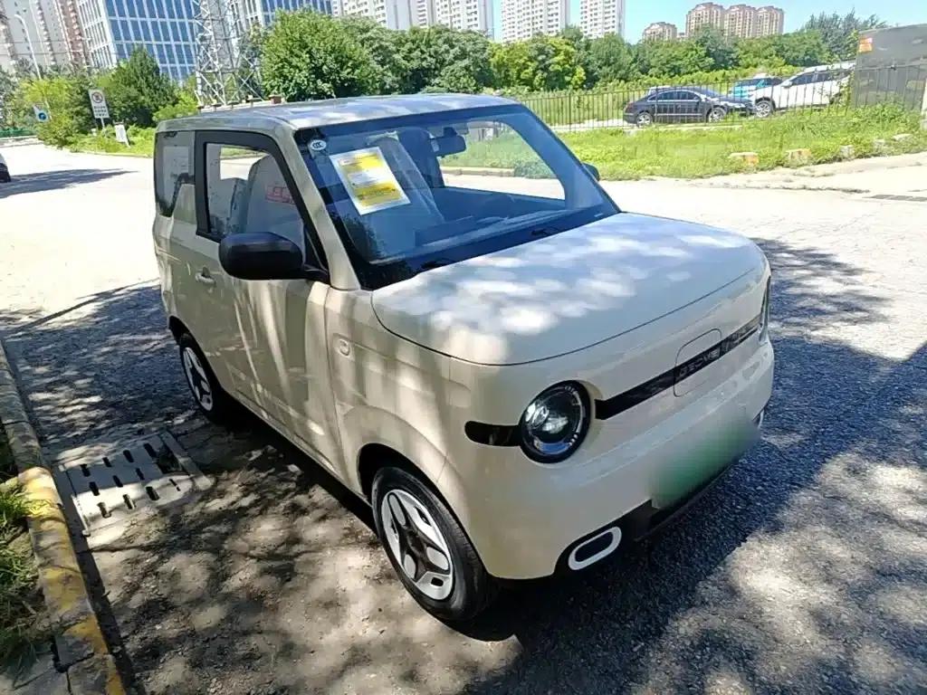 Panda 2025 Panda Mini 210km - Energetic Bear — миниатюра 4