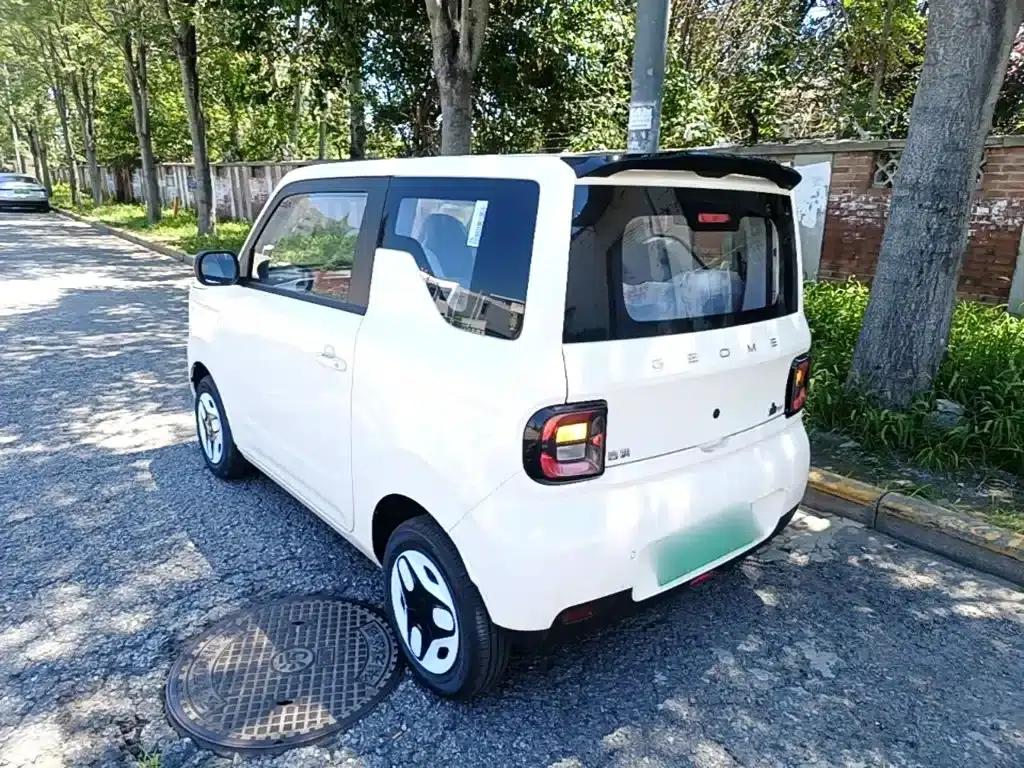 Panda 2025 Panda Mini 210km - Energetic Bear — миниатюра 5