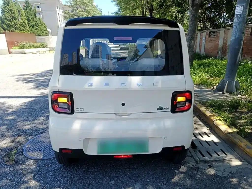 Panda 2025 Panda Mini 210km - Energetic Bear — миниатюра 6
