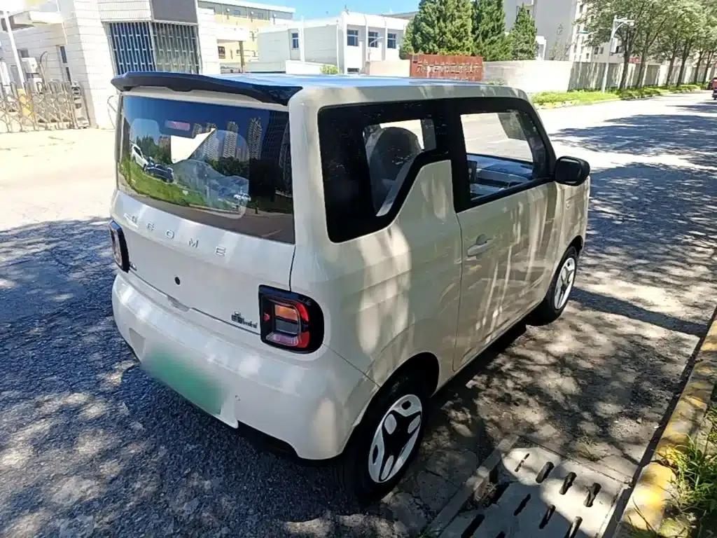 Panda 2025 Panda Mini 210km - Energetic Bear — миниатюра 7