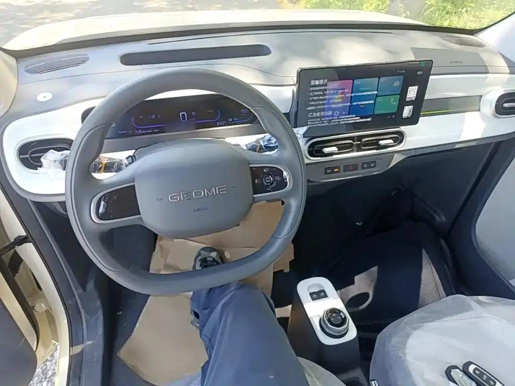 Panda 2025 Panda Mini 210km - Energetic Bear — миниатюра 10