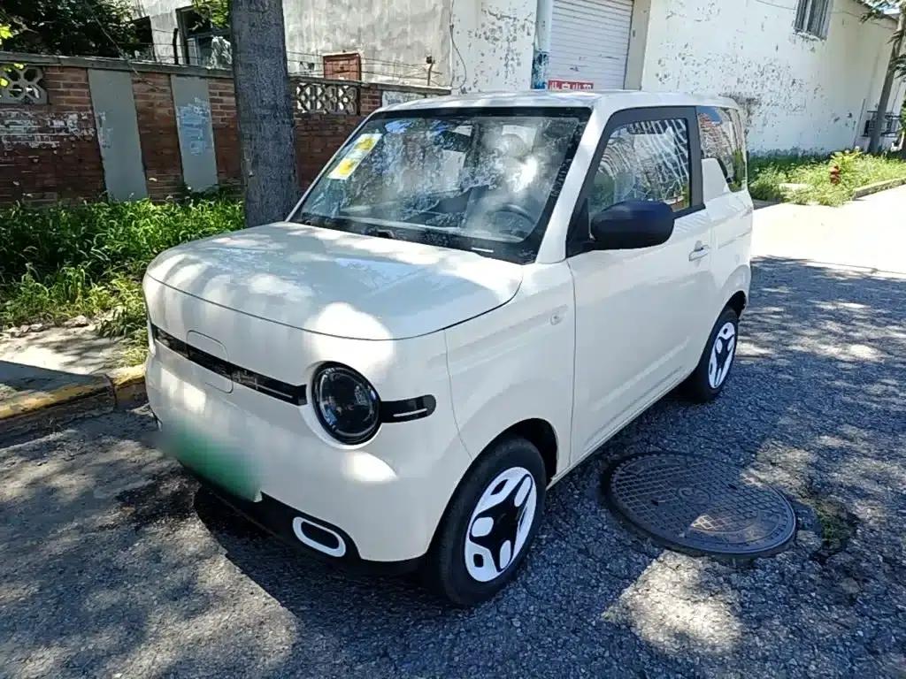 Panda 2025 Panda Mini 210km - Energetic Bear — миниатюра 1