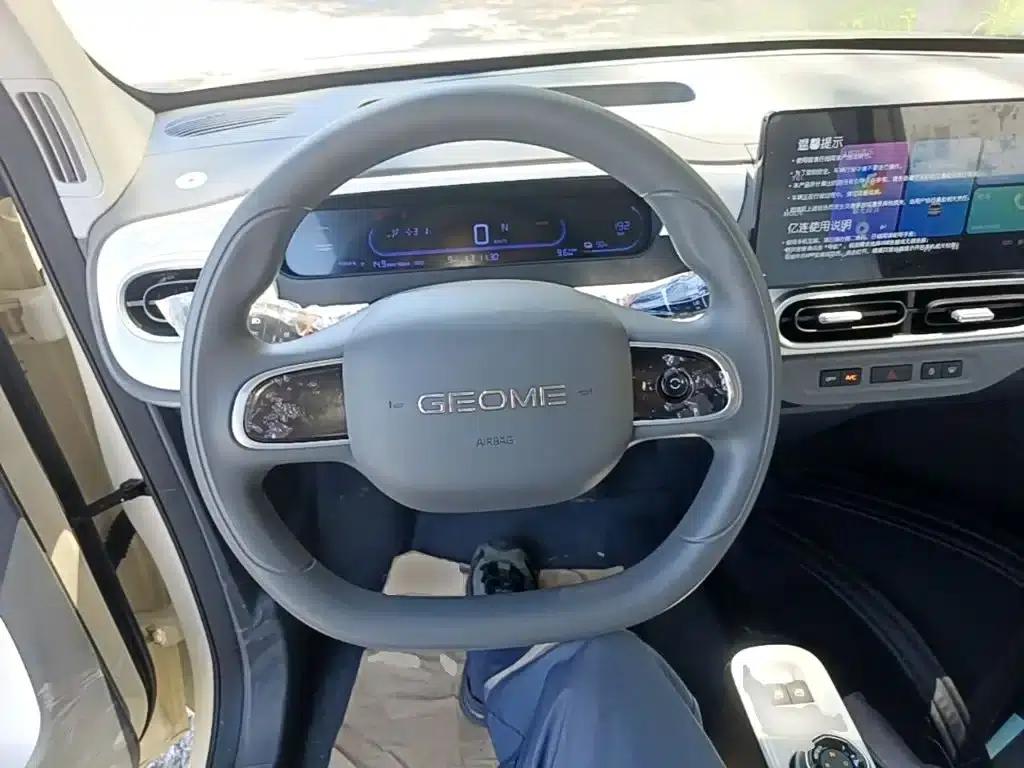 Panda 2025 Panda Mini 210km - Energetic Bear — миниатюра 11