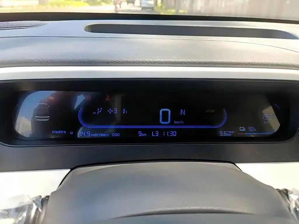 Panda 2025 Panda Mini 210km - Energetic Bear — миниатюра 12