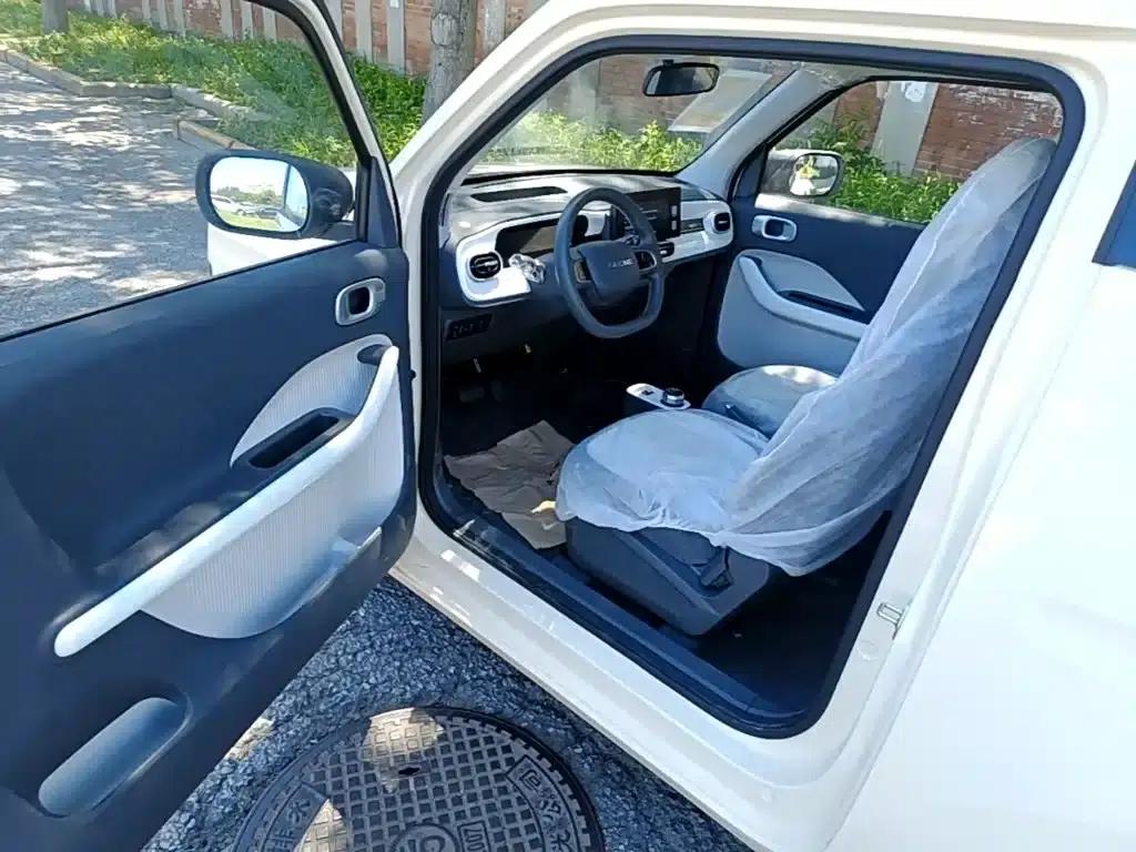 Panda 2025 Panda Mini 210km - Energetic Bear — миниатюра 16
