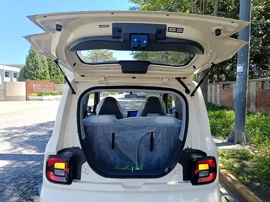 Panda 2025 Panda Mini 210km - Energetic Bear — миниатюра 19