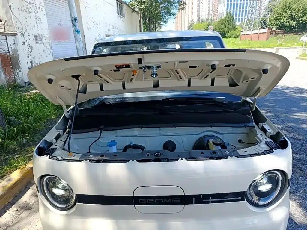 Panda 2025 Panda Mini 210km - Energetic Bear — миниатюра 20