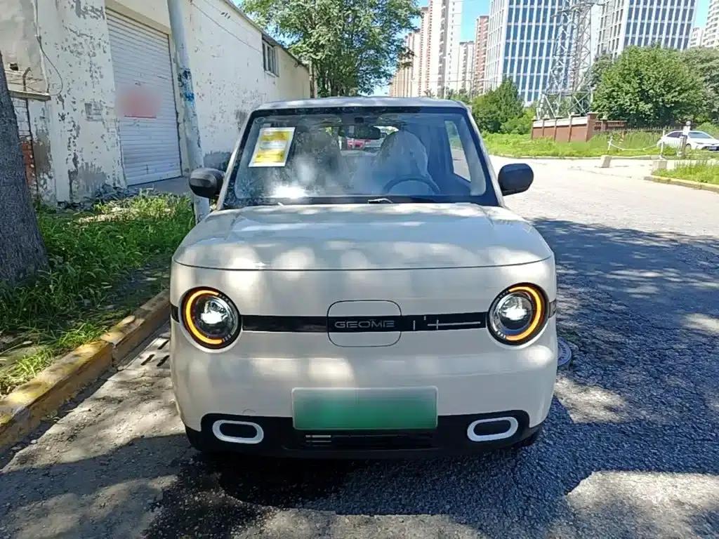 Panda 2025 Panda Mini 210km - Energetic Bear — миниатюра 3