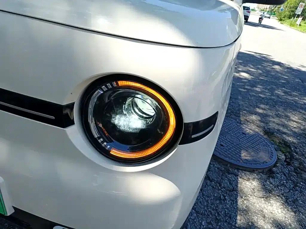 Panda 2025 Panda Mini 210km - Energetic Bear — миниатюра 24