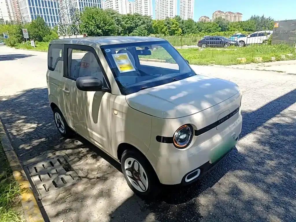 Panda 2025 Panda Mini 210km - Energetic Bear — миниатюра 4