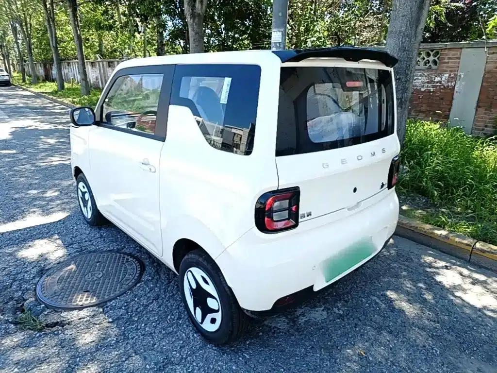 Panda 2025 Panda Mini 210km - Energetic Bear — миниатюра 5
