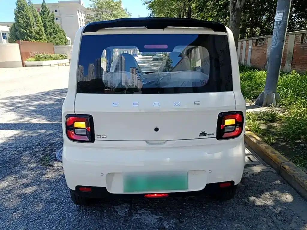 Panda 2025 Panda Mini 210km - Energetic Bear — миниатюра 6
