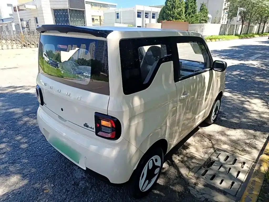 Panda 2025 Panda Mini 210km - Energetic Bear — миниатюра 7