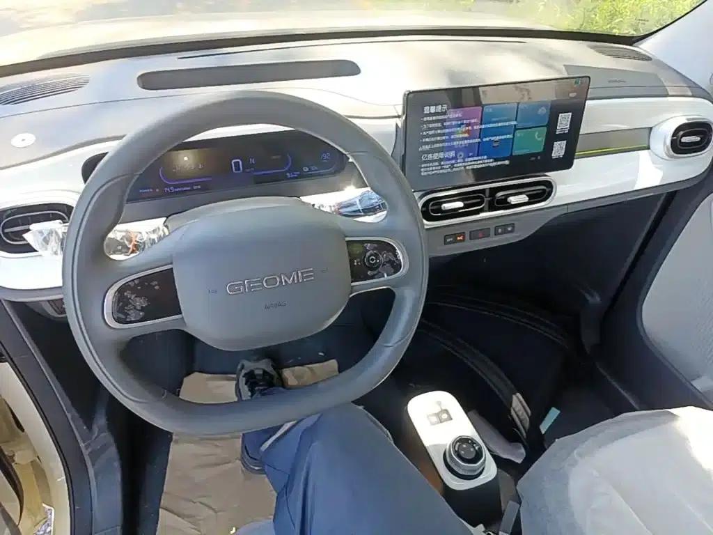 Panda 2025 Panda Mini 210km - Energetic Bear — миниатюра 10