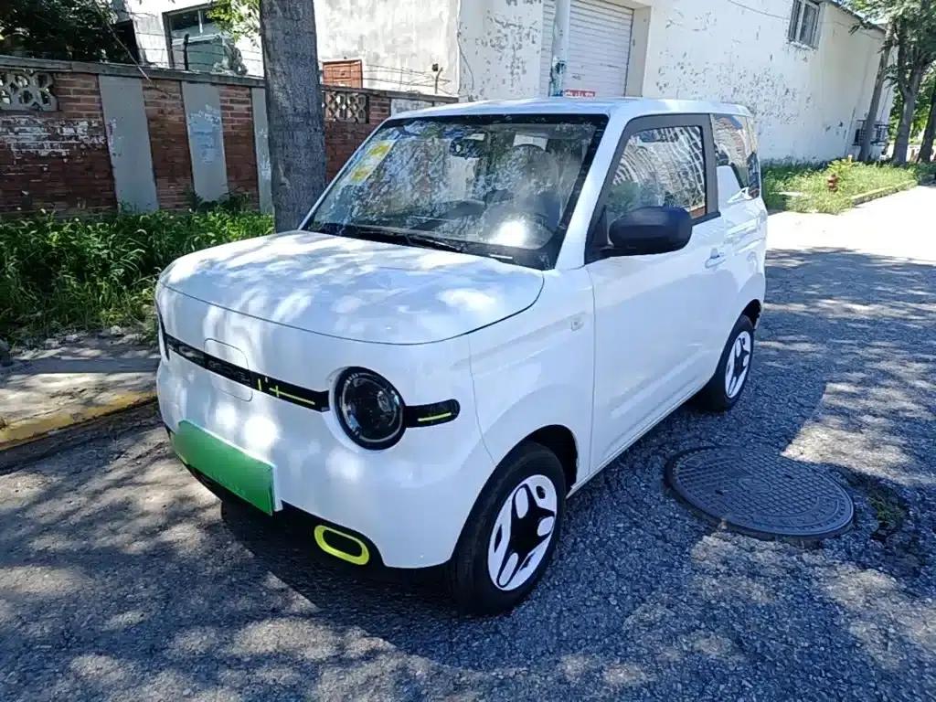 Panda 2025 Panda Mini 210km - Energetic Bear — миниатюра 1