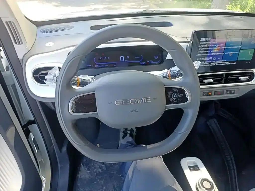 Panda 2025 Panda Mini 210km - Energetic Bear — миниатюра 11