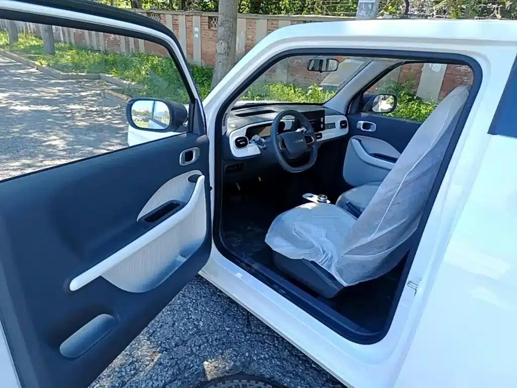 Panda 2025 Panda Mini 210km - Energetic Bear — миниатюра 16