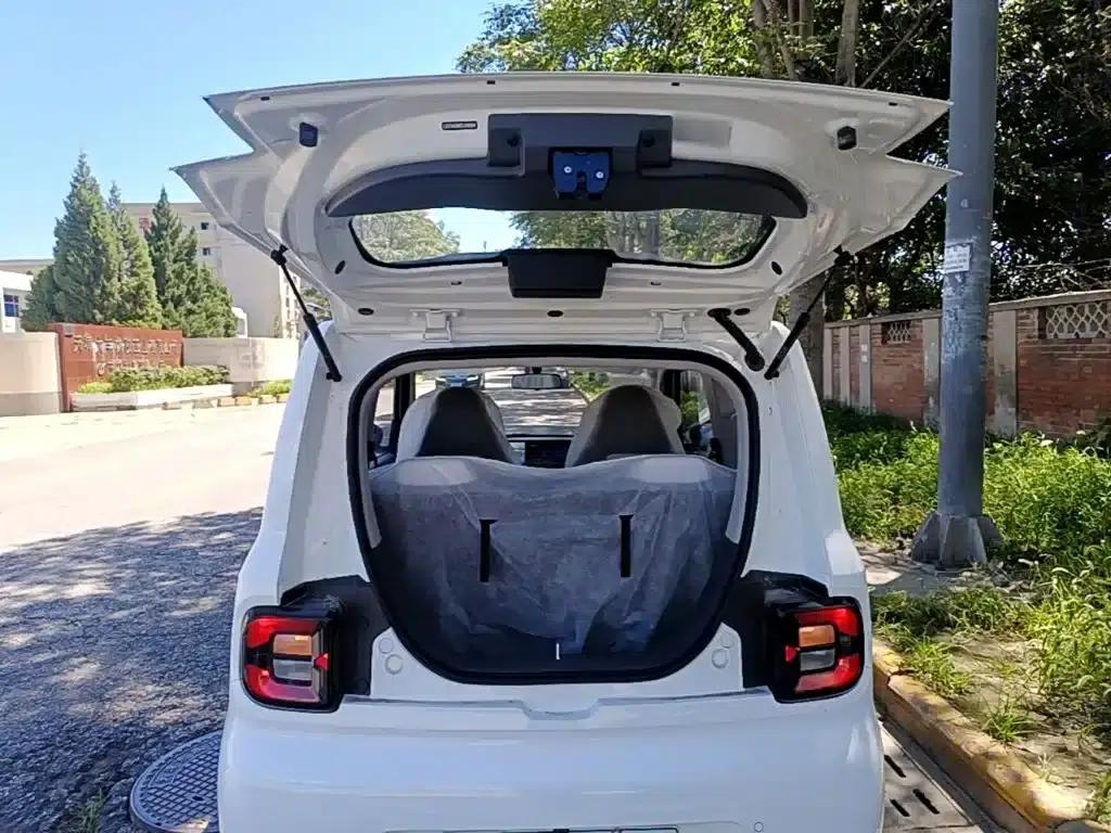 Panda 2025 Panda Mini 210km - Energetic Bear — миниатюра 19