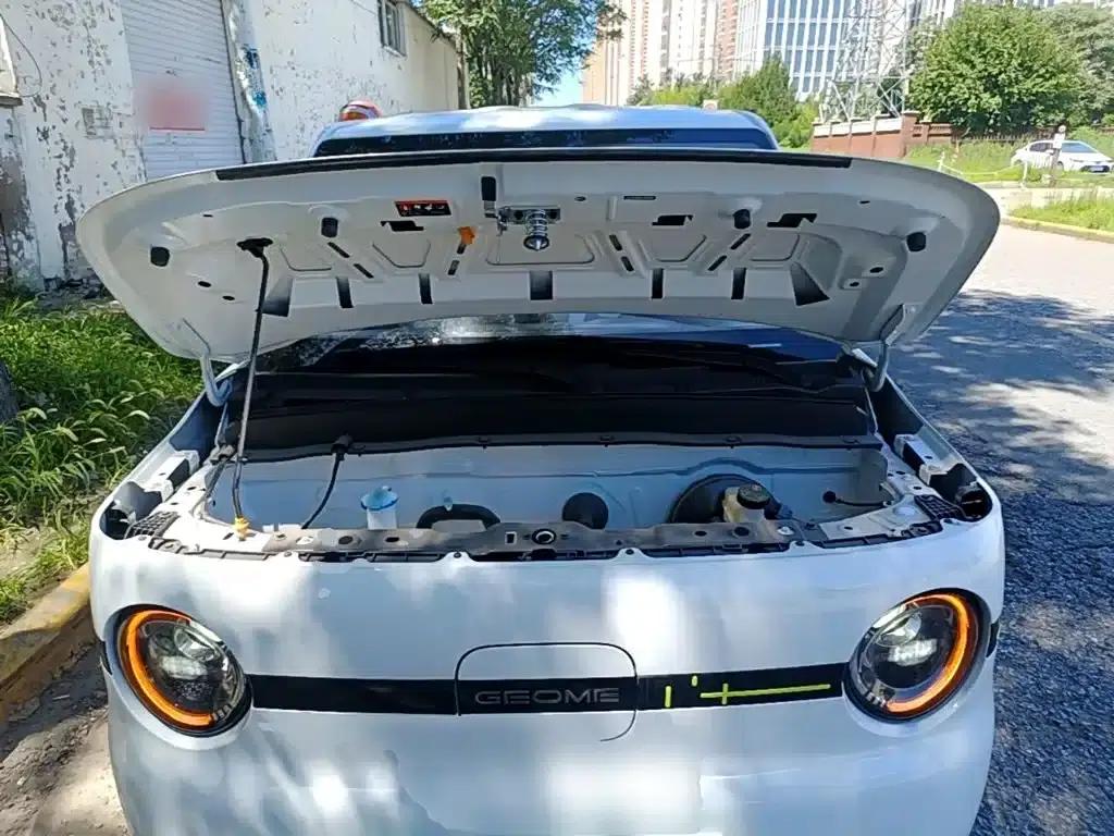 Panda 2025 Panda Mini 210km - Energetic Bear — миниатюра 20