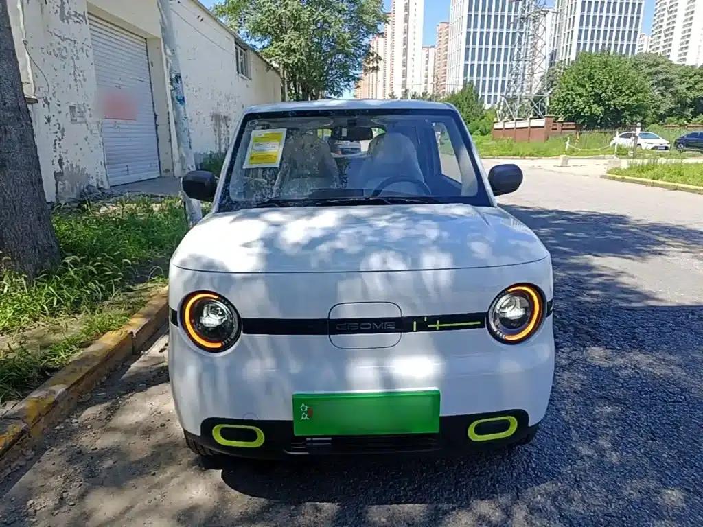 Panda 2025 Panda Mini 210km - Energetic Bear — миниатюра 3