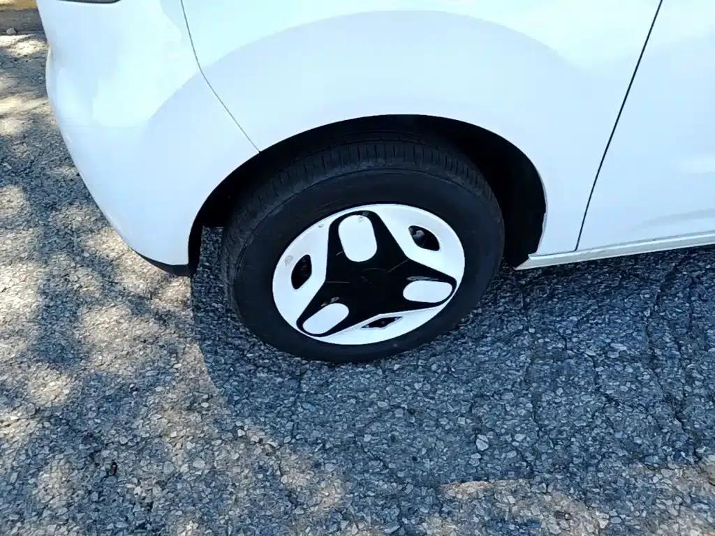 Panda 2025 Panda Mini 210km - Energetic Bear — миниатюра 23