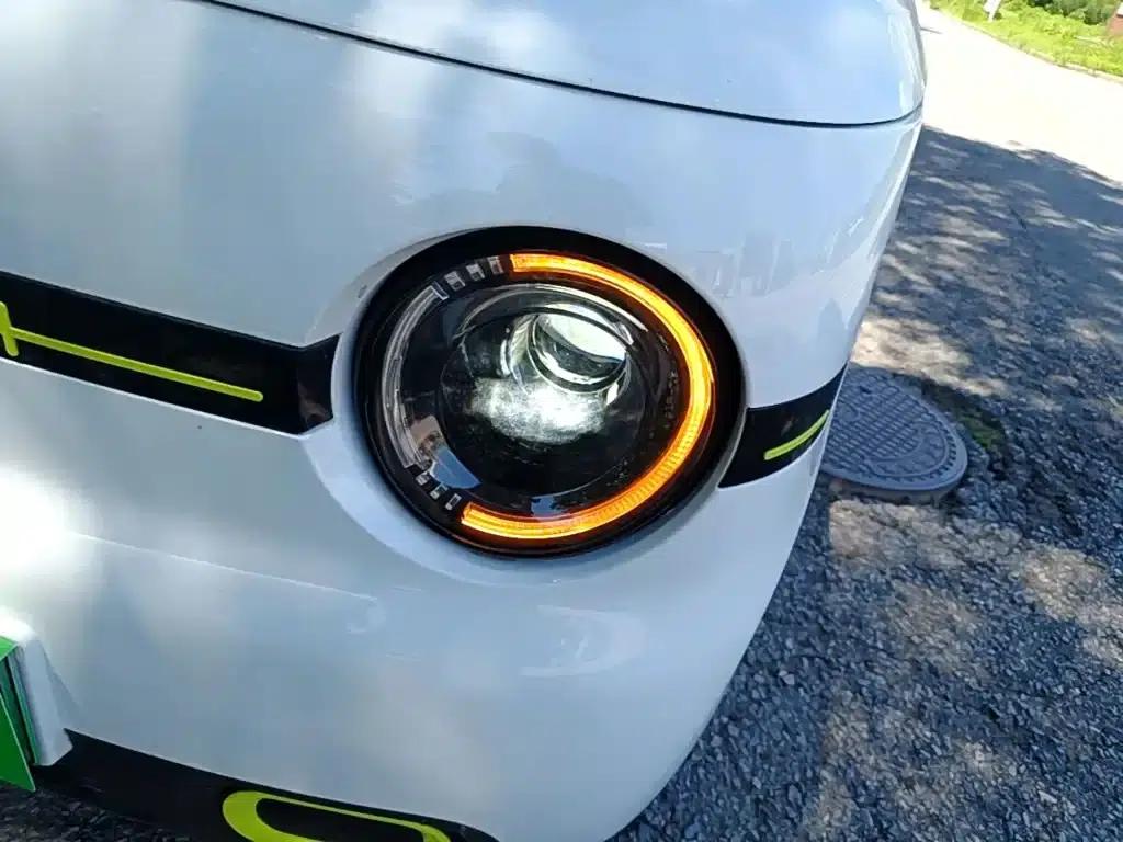 Panda 2025 Panda Mini 210km - Energetic Bear — миниатюра 24