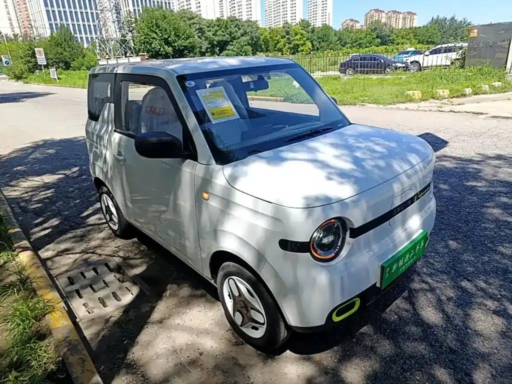 Panda 2025 Panda Mini 210km - Energetic Bear — миниатюра 4