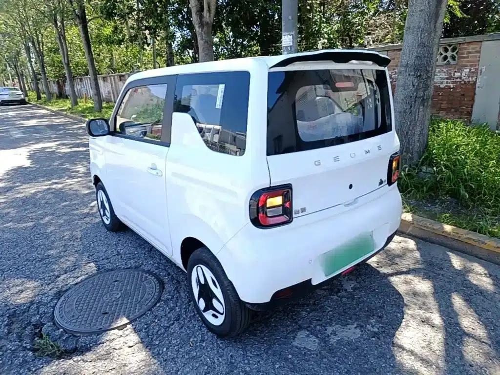 Panda 2025 Panda Mini 210km - Energetic Bear — миниатюра 5