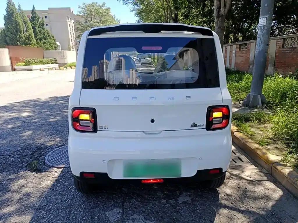 Panda 2025 Panda Mini 210km - Energetic Bear — миниатюра 6