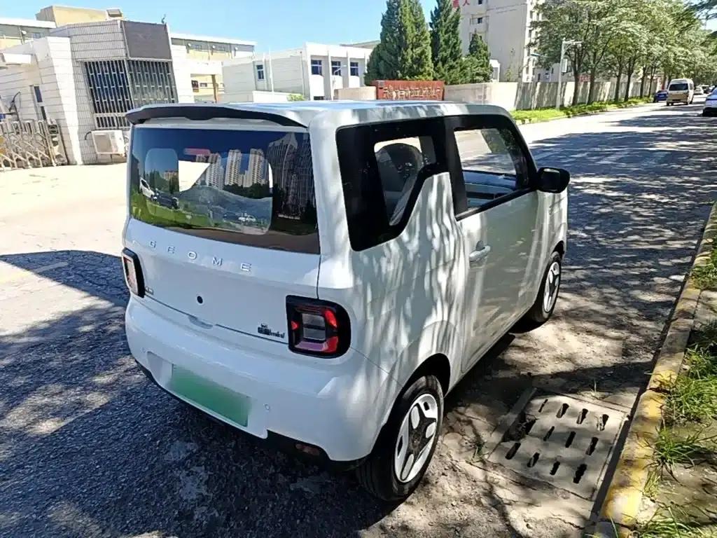 Panda 2025 Panda Mini 210km - Energetic Bear — миниатюра 7