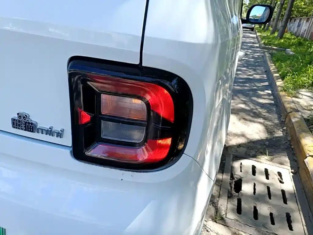 Panda 2025 Panda Mini 210km - Energetic Bear — миниатюра 8