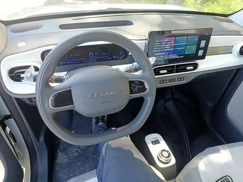 Panda 2025 Panda Mini 210km - Energetic Bear — миниатюра 10
