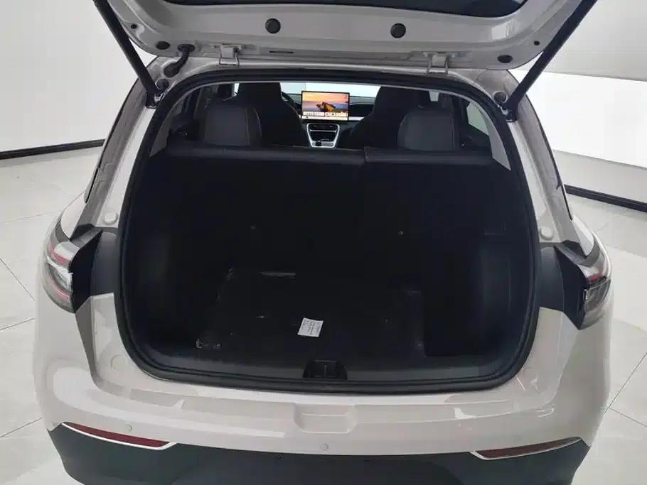 Star Wish 2026 Model 310km Dream Edition — миниатюра 4