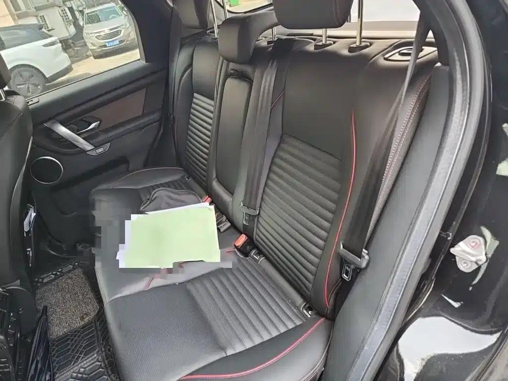 Discover Sporty New Energy 2021 P300e Performance Technology Edition — миниатюра 13