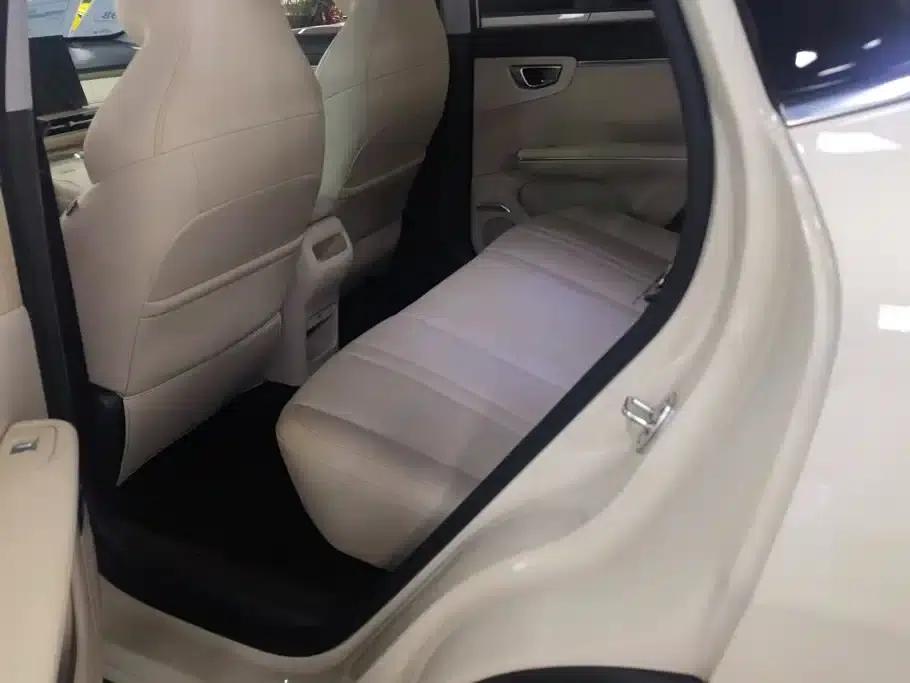 Bingo S 2025 Model 325km Premium Edition — миниатюра 11