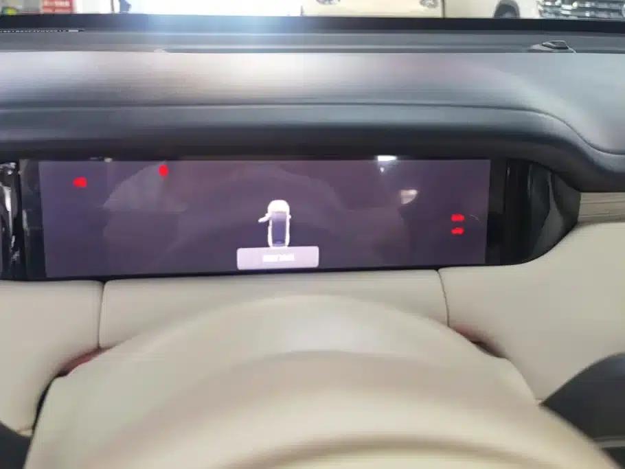 Bingo S 2025 Model 325km Premium Edition — миниатюра 14