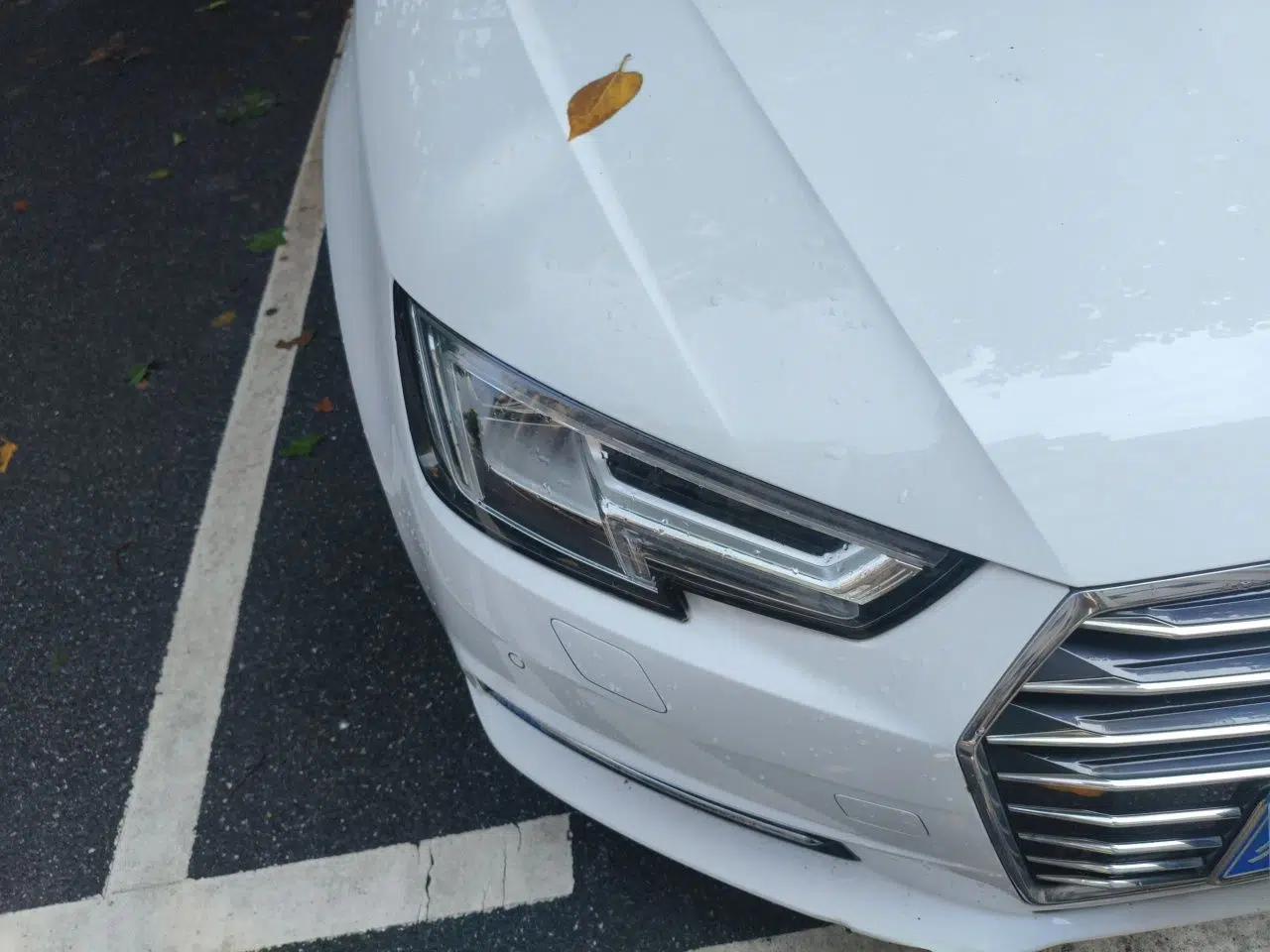 Audi A4L 2018 30th Anniversary Edition 40 TFSI Trendy Model — миниатюра 7