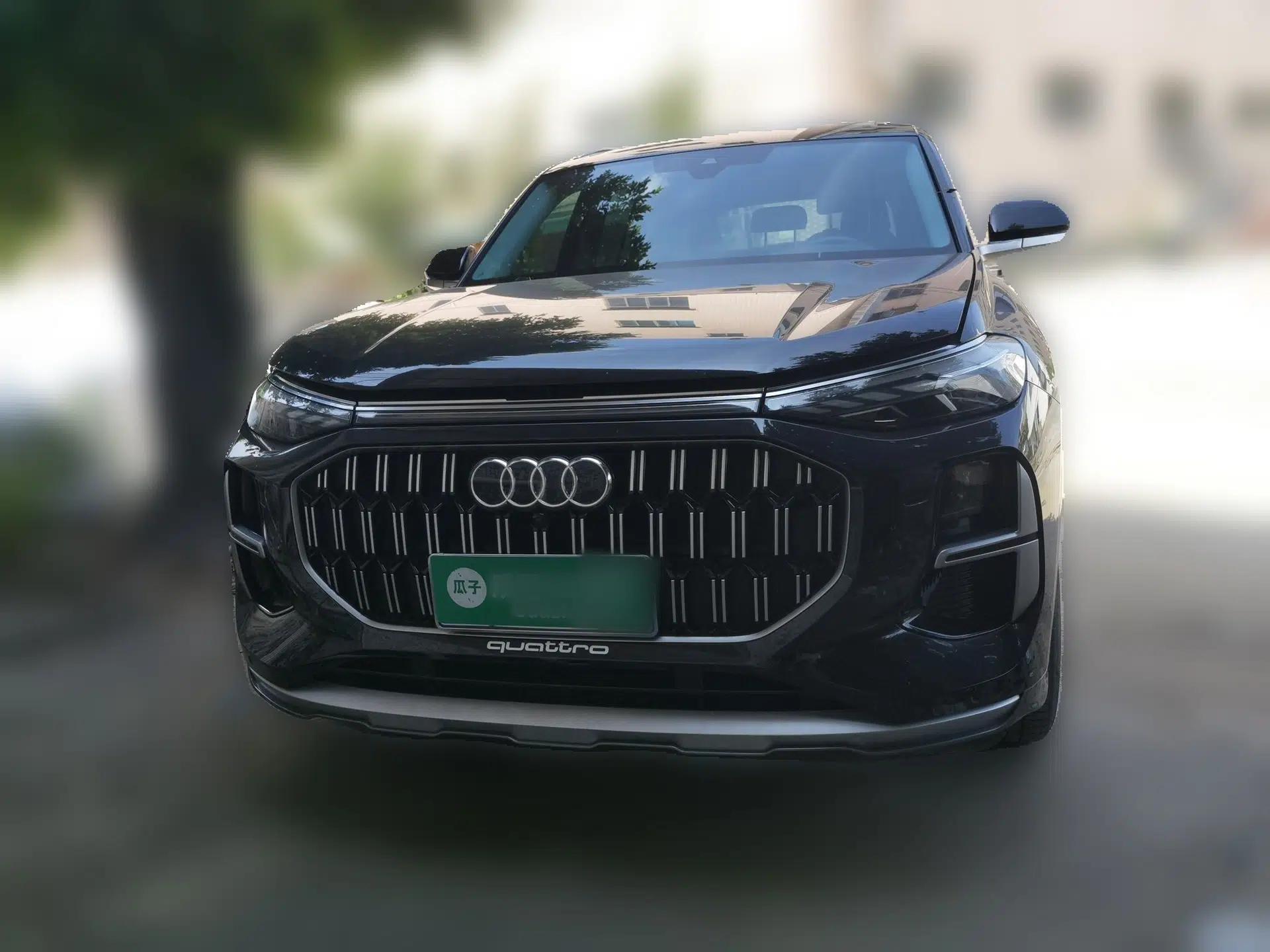 Audi Q6 2023 40 TFSI quattro Guanyun Edition Light Yulin Package — миниатюра 2