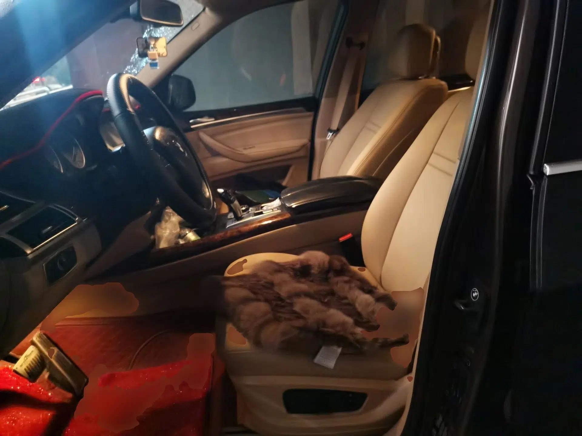 BMW X5 2011 xDrive35i Leading Model — миниатюра 15